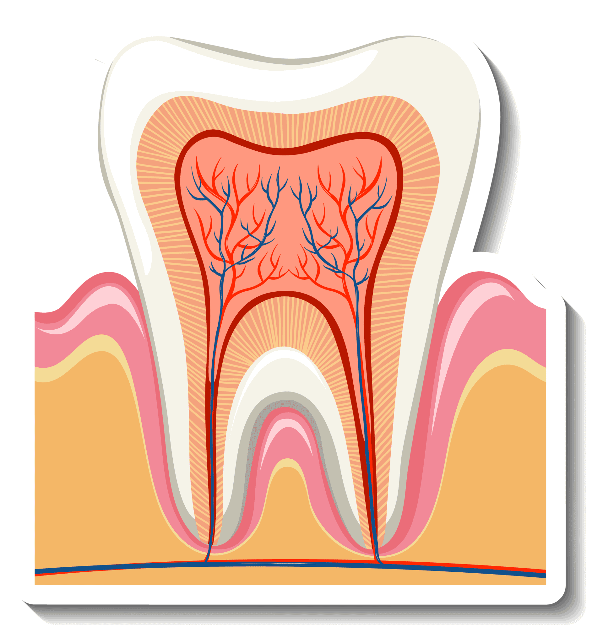 Best Root canal treatment in Nizampet