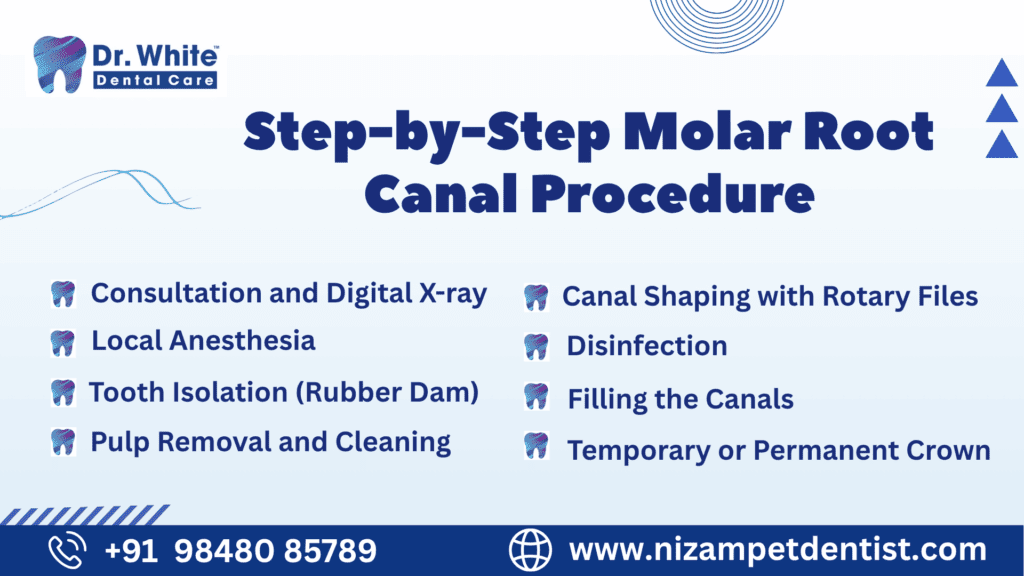 Root Canal of Molar Teeth